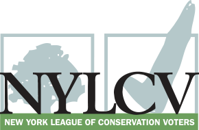 NYLCV logo