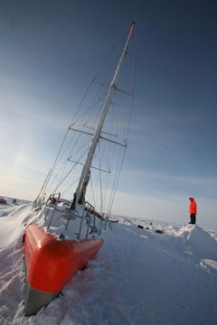 Tara on ice in Antarctica