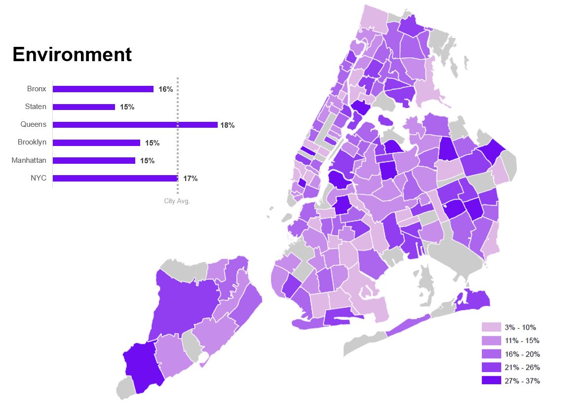 OneNYC survey mapped