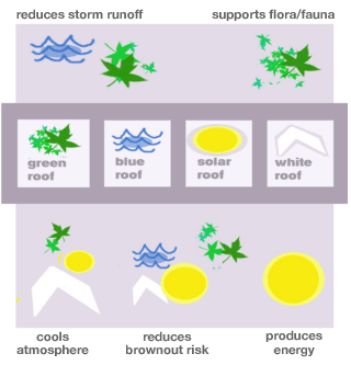 Green roofs