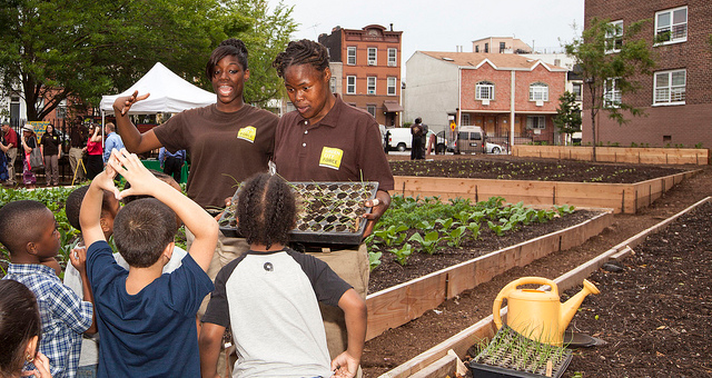Urban garden at NYCHA site