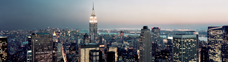 Snapshot Article New York City Skyline